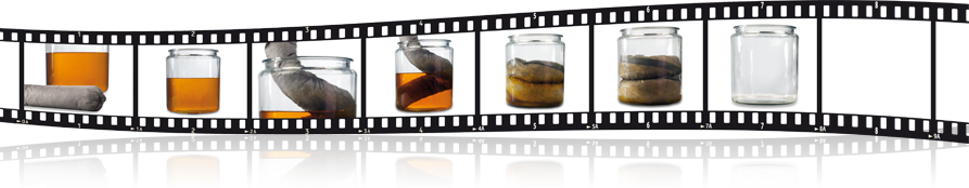 series of frames of film showing the sequence of super absorbent flake absorbing fluid in a tank